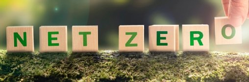 An action plan for net zero compatible with budget constraints